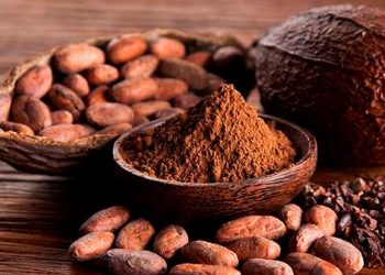 Día mundial del Cacao, te contamos algunos beneficios