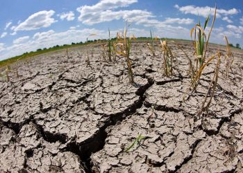 Es una situación crítica la que estamos viviendo en el mundo derivado del problema climático: Luege Tamargo