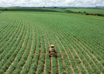 Se ha disminuido el presupuesto a programas hidroagrícolas, de 9 mil millones de pesos a mil 500 millones: Anaya