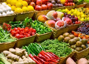 A los productores les está saliendo más caro el fertilizante un 115%, Rusia sigue siendo el gran exportador: Anaya