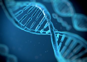 Hallan una molécula que estimula la reparación del daño oxidativo del ADN