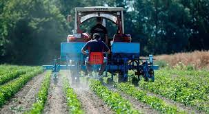 La iniciativa de reactivar la producción de fertilizantes en México llega un poco tarde: González