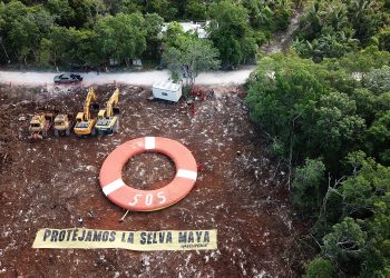 Greenpeace protesta contra reinicio de obras del Tren Maya en México