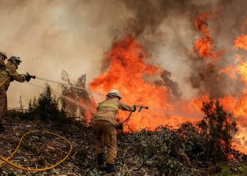 Bomberos luchan contra el fuego en una importante reserva natural griega