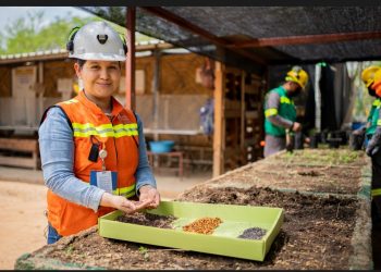 Minera Cuzcatlán reforesta 430 mil metros cuadrados alrededor de su Operación