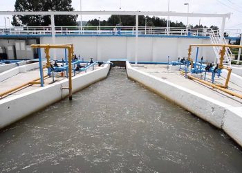 Eligen por unanimidad a Carlos Molina como presidente del Comité Ejecutivo Estatal de Morena en Chiapas