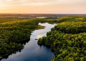 ONU consagra el derecho a un medioambiente limpio, saludable y sostenible