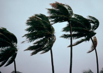 Reportan al menos cuatro muertos tras el paso de tormenta Bonnie en Nicaragua