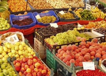 Pequeños productores demandan más apoyos para la comercialización de sus alimentos