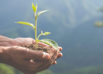 El país ha reducido el presupuesto en materia de medioambiente: Bustamante