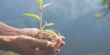 El país ha reducido el presupuesto en materia de medioambiente: Bustamante