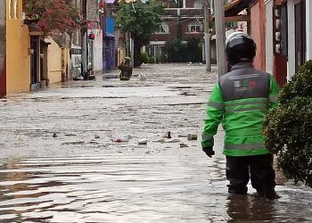 Árboles caídos, encharcamientos y deslaves provocó la lluvia de ayer por la noche en varias alcaldías de la CDMX