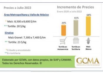 Precio de la tortilla ha crecido mucho menos que el precio del maíz blanco