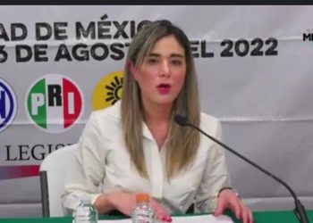 El INE es perfectible, pero también funcional y eficiente: Dania Ravel