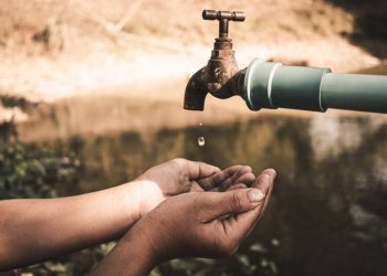 El cambio climático es el mayor reto de la humanidad, en México estamos como que no pasa nada: Luege Tamargo