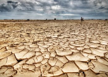 Necesitamos tomar acción y estar mejor preparados para los efectos del cambio climático: Vázquez