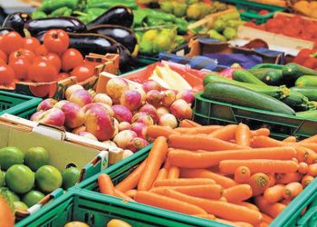 Sader: Superávit agroalimentario de México es de 4,758 millones de dólares