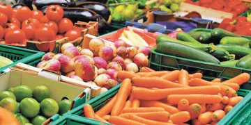 Sader: Superávit agroalimentario de México es de 4,758 millones de dólares