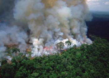 Los incendios en la Amazonía brasileña crecieron un 7.9% en julio