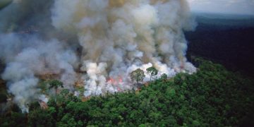Los incendios en la Amazonía brasileña crecieron un 7.9% en julio
