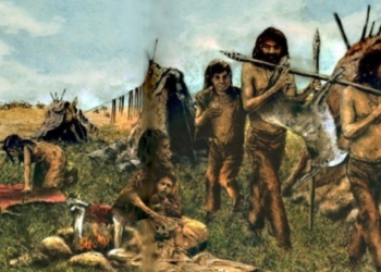 Antepasados humanos ya caminaban sobre sus dos piernas hace 7 millones de años