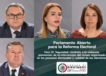 La Reforma Electoral no debe verse como algo negativo: Carla Humphrey
