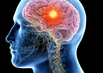 Estimulación cerebral eléctrica mejora la memoria de las personas mayores