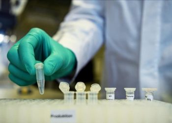 Detectan en China 35 casos en humanos de un nuevo virus de origen animal