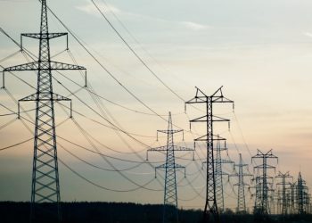 Ofrece el CCE al gobierno federal, apoyo y experiencia para avanzar en las consultas solicitadas por Estados Unidos y Canadá