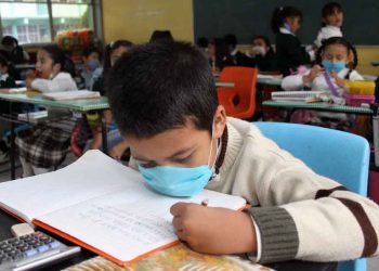 Fuimos a la SEP a que nos explicaran como aplicarían este plan de estudios, nos respondieron que por reglamento no pueden recibirnos: Solís