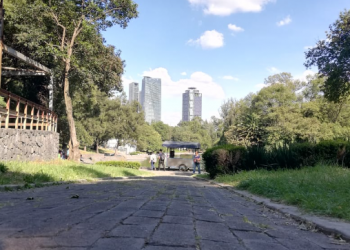 Investiga Fiscalía capitalina deceso de un hombre en el Lago del Bosque de Chapultepec