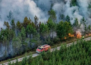 Incendio del suroeste francés está controlado, aseguran autoridades