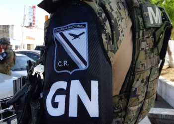 La Constitución dice claramente que la seguridad pública es materia civil: Benítez Manaut