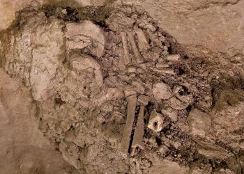Hallan restos humanos de una posible tumba de hace 10 mil años en Azerbaiyán