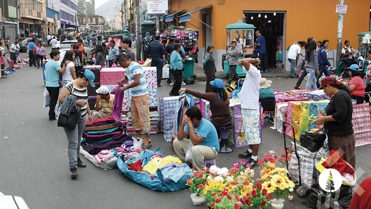 El 557 De Los Mexicanos Trabaja En La Economía Informal Enfoque Noticias 8771