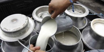 Se tienen que generar políticas públicas adecuadas para incentivar la producción de alimentos: Velasco