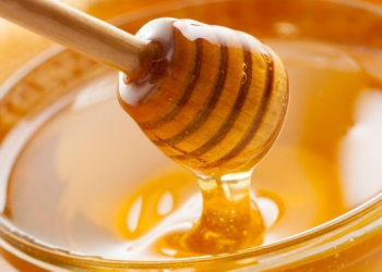 La producción de miel en México este año podría alcanzar las 65 mil 649 toneladas