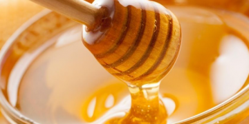 La producción de miel en México este año podría alcanzar las 65 mil 649 toneladas