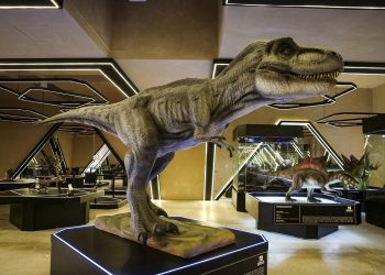 Museo del Meteorito, una mirada al rol del sur de México en la prehistoria
