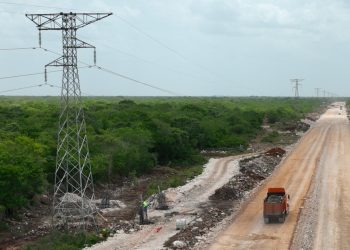 Ordena INAI a FONATUR entregar información sobre empresas de outsourcing que participan en obras del Tren Maya