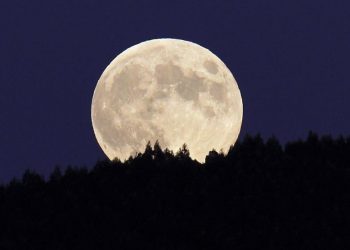Te contamos cuándo es la última Superluna del año