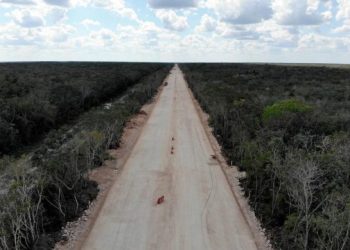 INAI ordena a la Semarnat entregar la autorización provisional para la construcción del Tramo 4 del Tren Maya