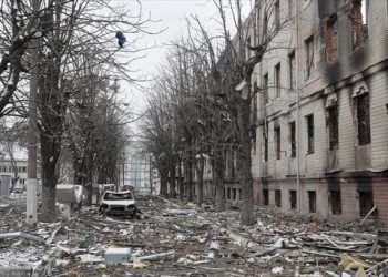 Al menos 230 niños han desaparecido en Ucrania desde el inicio del conflicto con Rusia