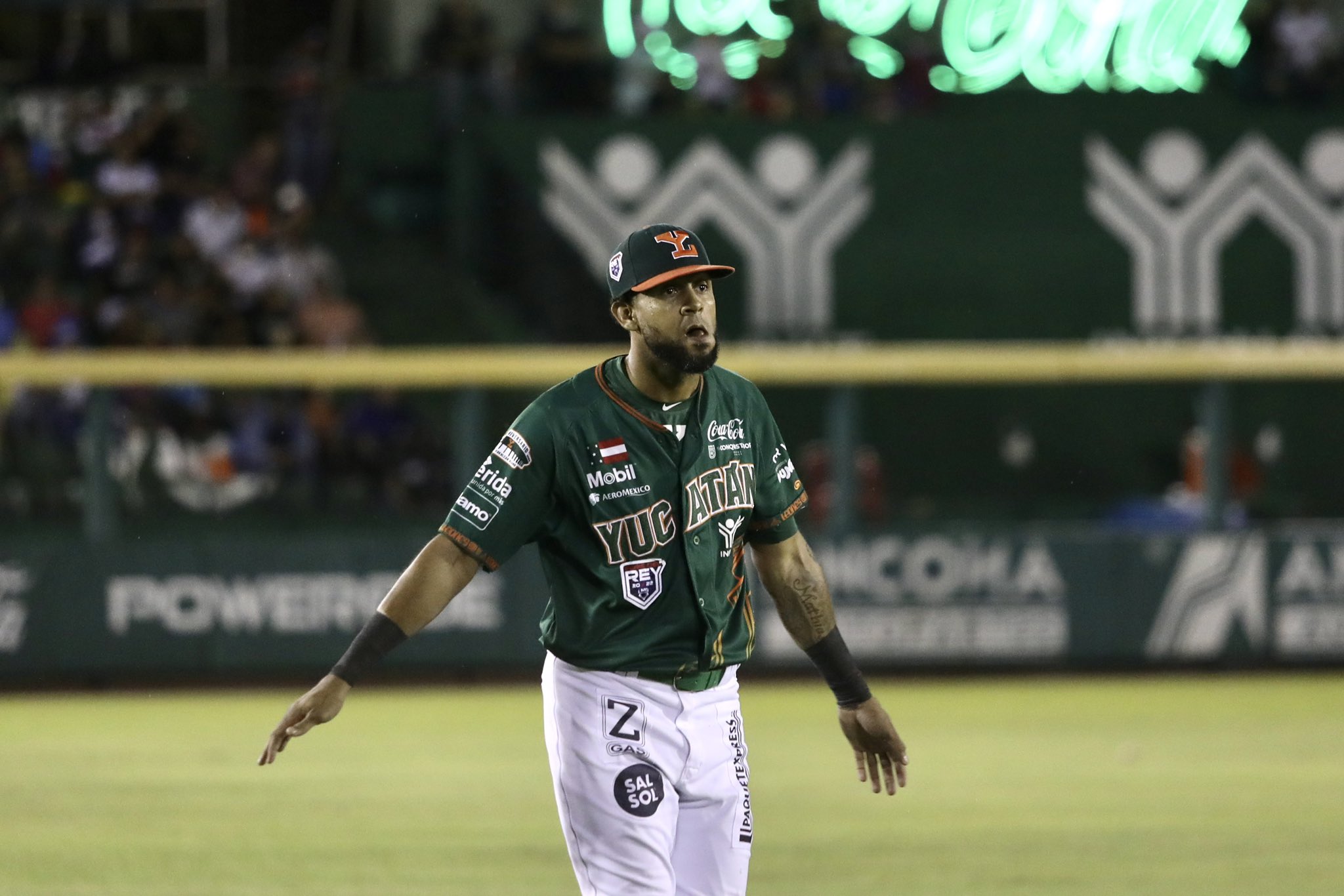 Los Leones de Yucatán están de nuevo en el Juego 7 de la Serie del Rey -  Enfoque Noticias