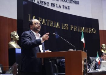 A López Obrador no le preocupa el tema de seguridad: Álvarez Icaza