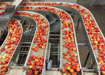 Tecnologías asociadas a la transformación digital impulsarán la industria de alimentos y bebidas