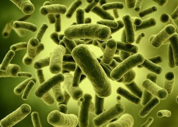 Este país registra una epidemia de cólera  