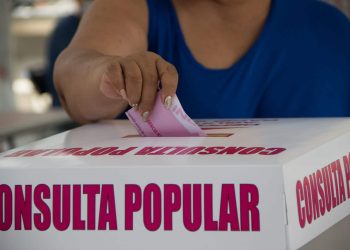 ¿Es constitucional la consulta propuesta por el presidente sobre la permanecía del Ejército en tareas de seguridad pública? Un experto nos explica