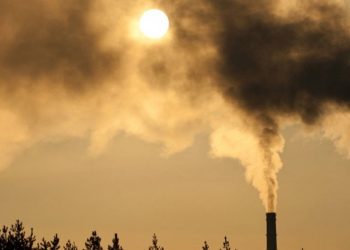 Más del 90% de la población mundial no respira aire con estándares de la OMS: Cárdenas