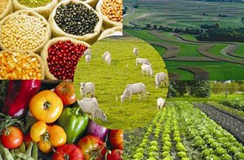 Cómo será la aplicación del Censo Agropecuario en México? Te contamos